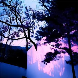 淫秽片东北老太婆去农民工住处开房不带套
